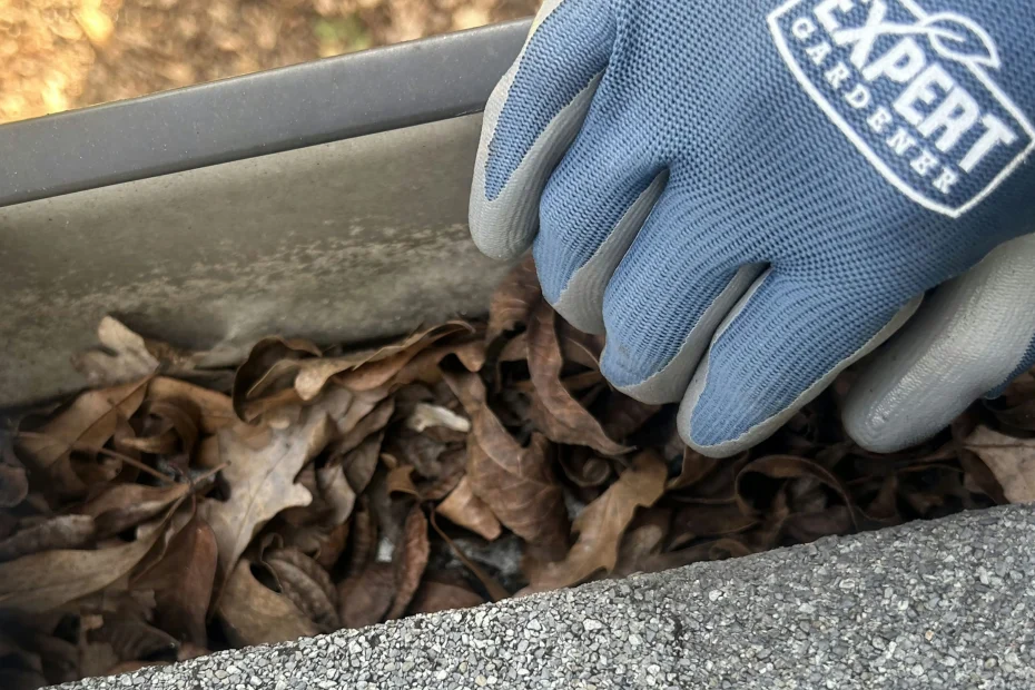 Gutter Cleaning Mascot